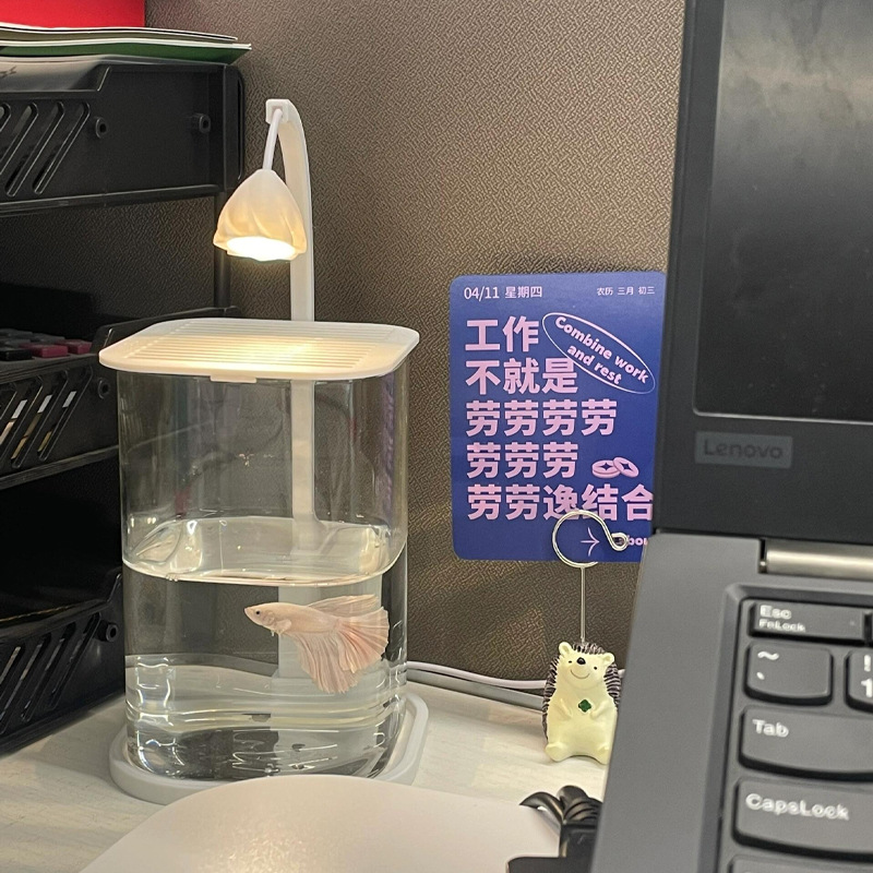 Betta Fish Tank Small Desktop Landscaping Ornaments for Ornamental Special Ecological Fish Farming Glass Small Tv Cabinet Decoration White