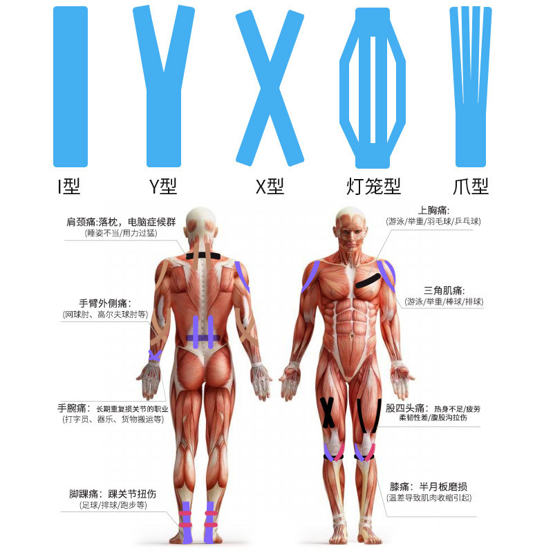 Sports Function Patch Muscle Patch Professional Muscle Effect Patch Sports Tape Chest Patch Sports Protective Protective Equipment