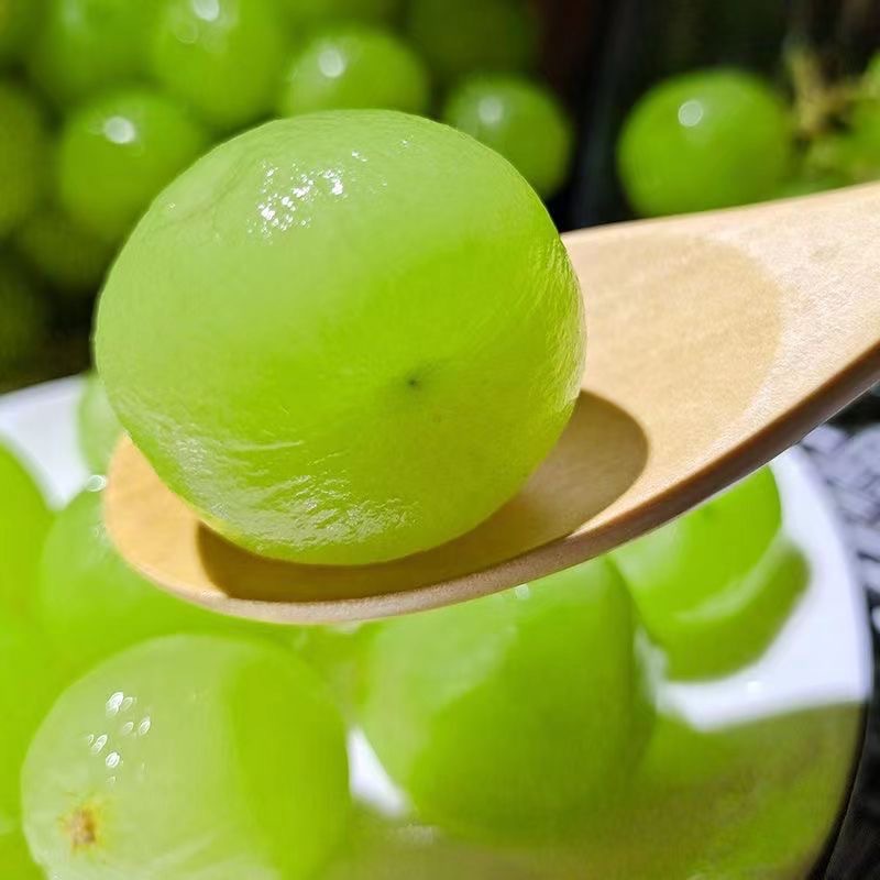 Authentic Sunshine Rose 2.5kg Whole Box of Fresh Seasonal Grapes for Pregnant Women Seasonal Fruit 1.5kg Wholesale Free Shipping 10 Qingwang