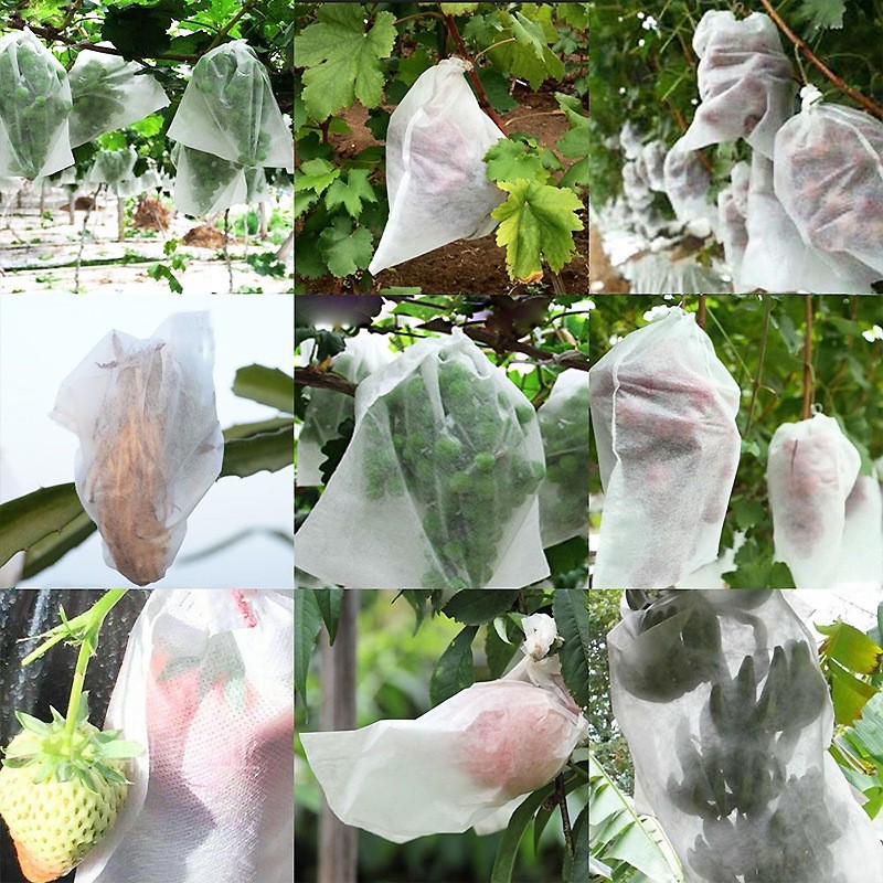 Non-woven grape bag Sunshine Rose special bird-proof insect-proof seedling protection bag fruit and vegetable bag