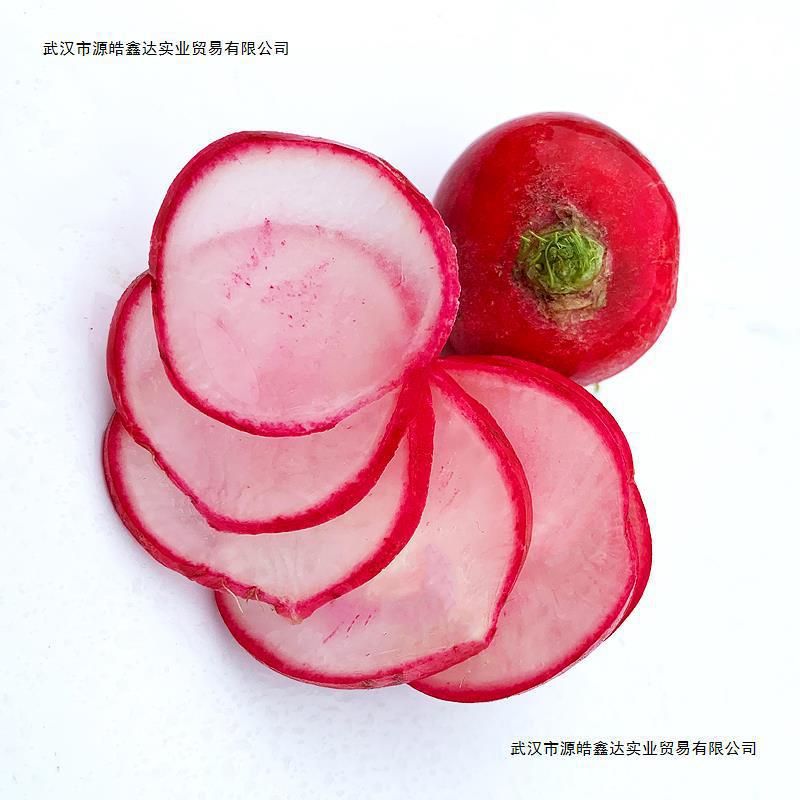 Fresh Cherry Radish, Mini Fruit Radish, Small Red Round Radish, Raw Vegetable Western Salad Ingredients