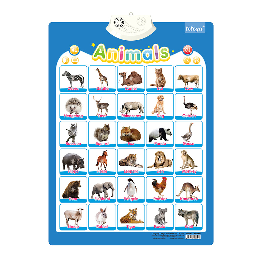 Foreign Trade Hot-Selling Export English Audio Wall Chart Educational Toy Fun Exam Children's Learning Music Audio Version