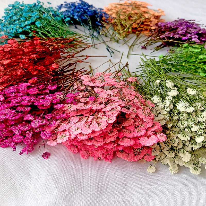 Сухоцвет гипсофила, тисненая оптовая рамка для фотографий, клей для закладок, тисненая цветочная декорация с веточкой, образец тисненого сухоцвета