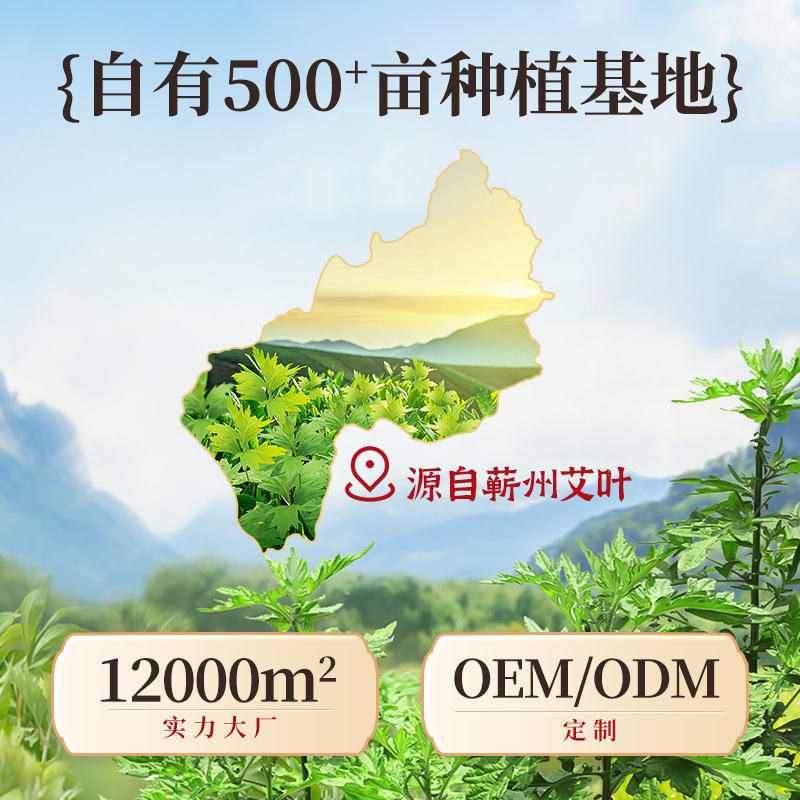 Aged moxa stick moxibustion feeling through three years Chen qizhou moxa stick home open fire moxibustion moxa stick beauty salon special moxa stick