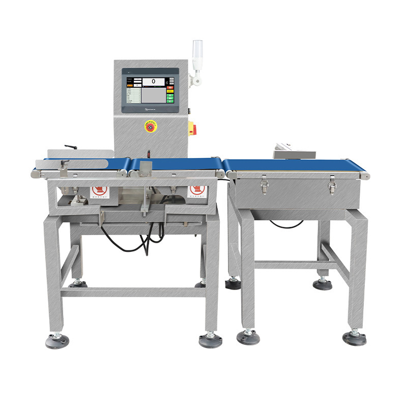 High-Precision Assembly Line Automatic Online Dynamic Checkweigher Belt Scale Food Packaging Manual Weighing Machine Manufacturer