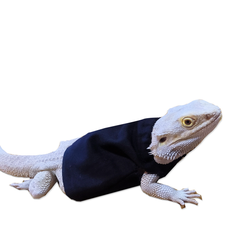 Lizard Clothes Traction Rope Hat Climbing Pet Going Out Transformation Clothes Walking Lizard Small Pet Clothes