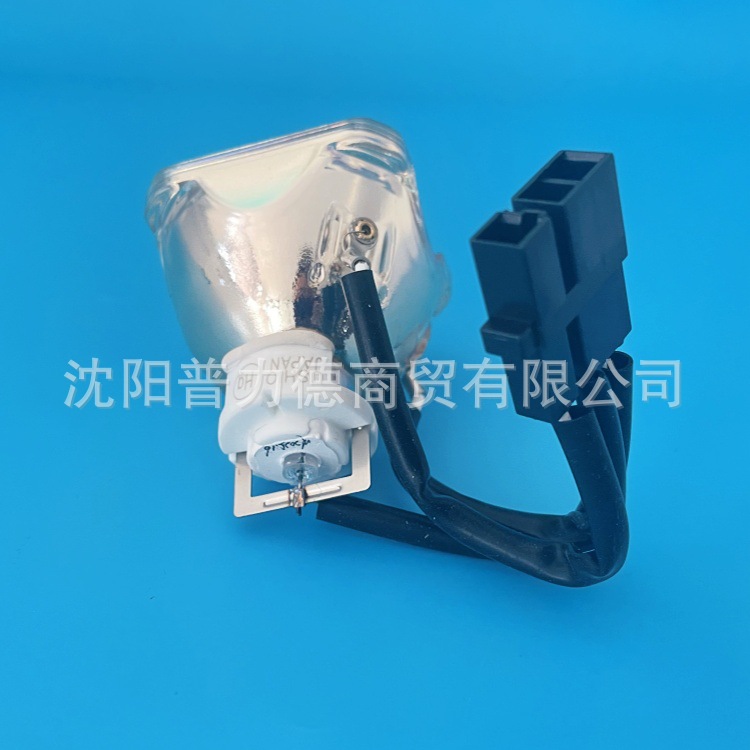 Ushio Mercury Lamp Shi-130Ni Nikon Microscope Metal Short Arc Lamp C-Lhgfi Light Source Lamp