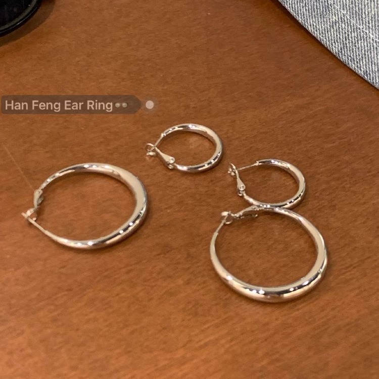 Silver Pigment Ring Earrings 2025 New Explosive Niche Design Sense High-grade Big Ring Earrings Cold Wind Earrings Women