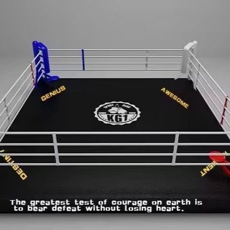 High Quality Professional Standard Boxing Ring Mma Cage Wrestling Cage Training Boxing Ring