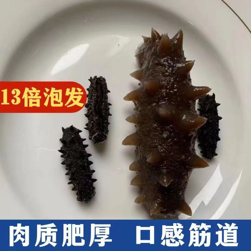 [Pure Light Dried Small Sea Cucumbers] Dalian Sea Cucumber Dry Goods Wild Sea Cucumber Small Dried Sea Cucumber Liaocheng Non-Ready-To-Eat Sea Cucumber