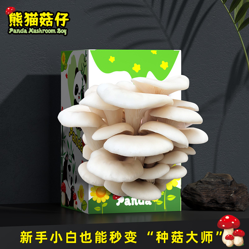 Mushroom Box Gift Box Oyster Mushroom Planting Package Edible Fungus Panda Green Plant Kindergarten Breeding Box Bagged Gift