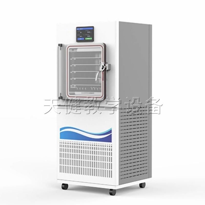 Desktop Small Vacuum Freeze Dryer In-Situ Food and Pharmaceutical Pilot Freeze-Drying Machine