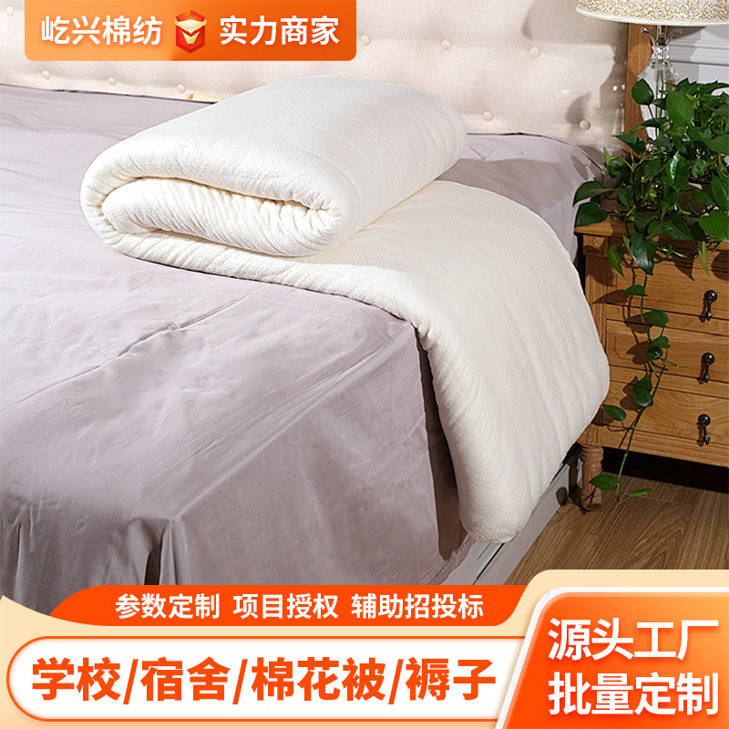 Производитель на заказ, утолщенное хлопковое одеяло, четырехсезонное одеяло, матрас для общежития, осеннее и зимнее теплое одеяло