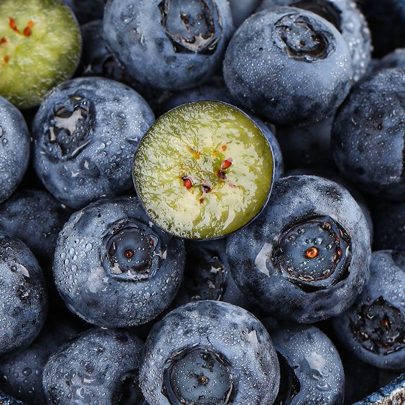 Fresh Blueberries from Yunnan, Freshly Picked and Seasonal Fruits, Fresh Blueberries, Fruit Orchard Picking for Pregnant Women