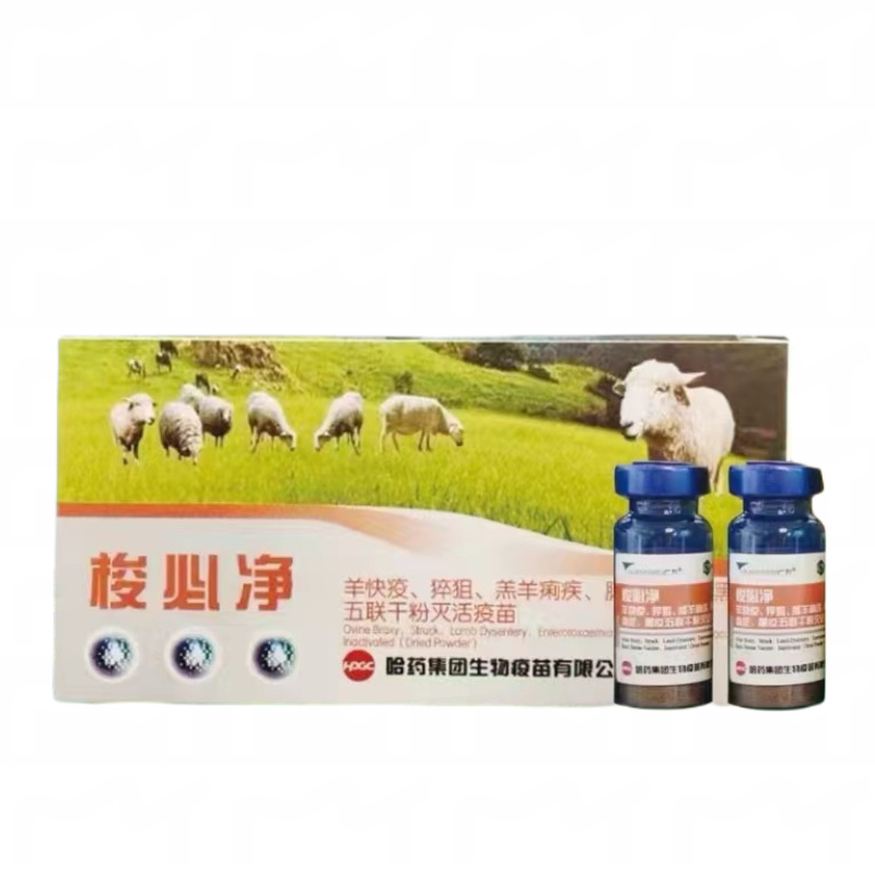 Harbin Pharmaceutical Sheep Vaccine Sheep Six Joint Dry Powder Vaccine Sheep Six Joint Vaccine Shuoqing