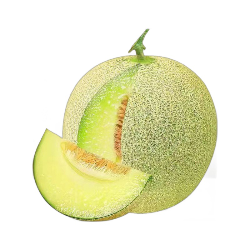 Net Melon, Juicy, Seasonal, Sweet Melon Ice Cream, Fresh Cantaloupe, Exclusive to the Farm, Free Shipping