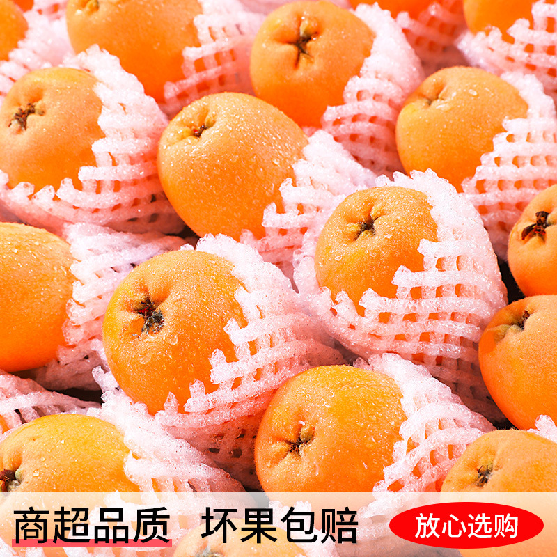 Panzhihua Miyi Loquat Fresh Fruit 2.5kg Large Fruits, Freshly Picked Seasonal High Mountain Loquat Fresh Fruit, Sf Express Free Shipping