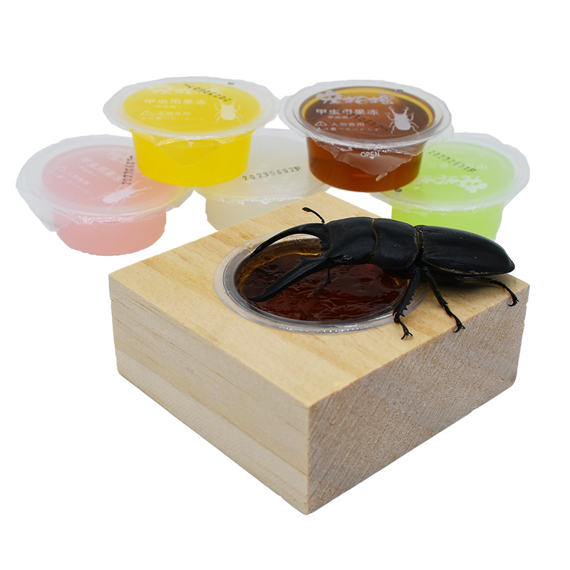 Beetle jelly Naruto insect jelly table feed hair elephant turtle pocket worm adult worm brown sugar spade beetle food