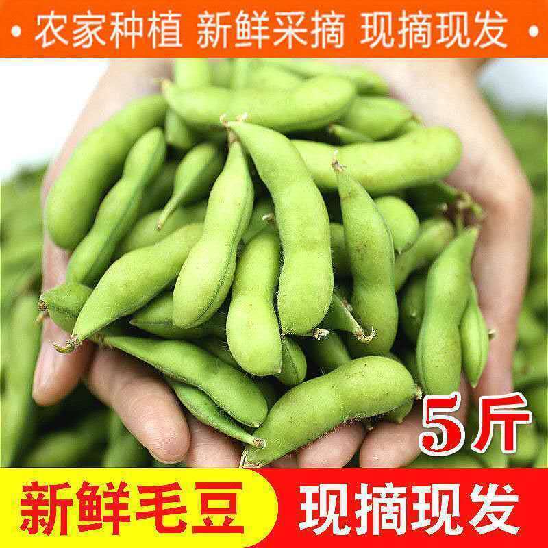 [Direct Delivery from the Place of Origin] Fresh Edamame, Shelled Raw Green Beans, Seasonal Vegetables, Raw Beans, Pods, Edamame, Fresh Soybeans