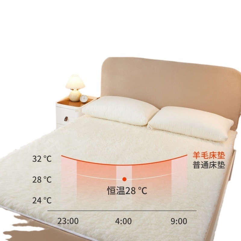 Australian Wool Mattress Pad Winter Mattress Blanket Quilt Winter Thickeneded Warm Wool Mattress Base