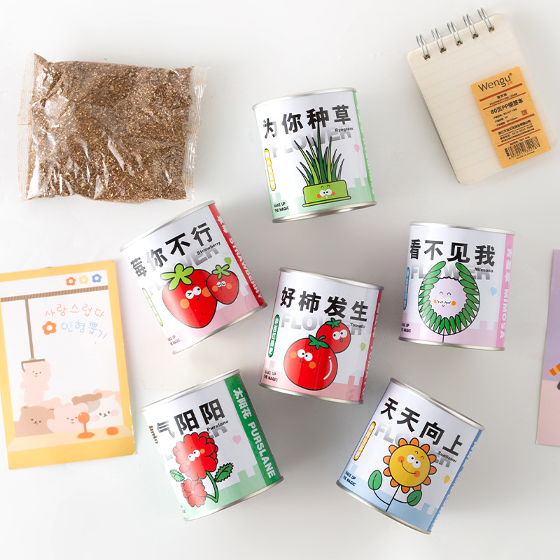 Online celebrity blessing potted green plant tomato seeds canned plant desktop creative children DIY gift factory wholesale