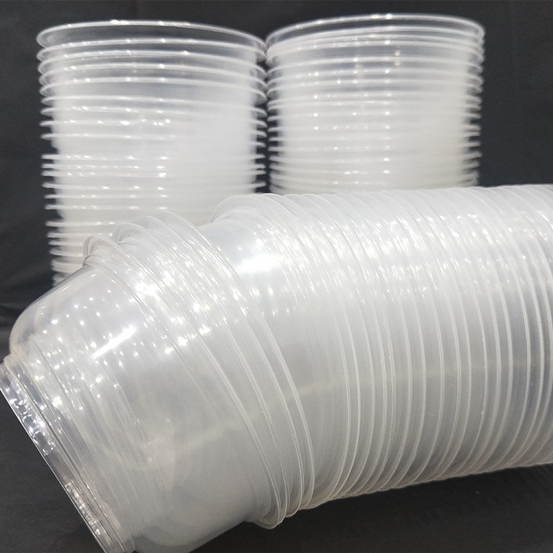Disposable Tableware Plastic Bowl Packaging Thickened Takeaway Small Lunch Box Fast Food Box with Lid