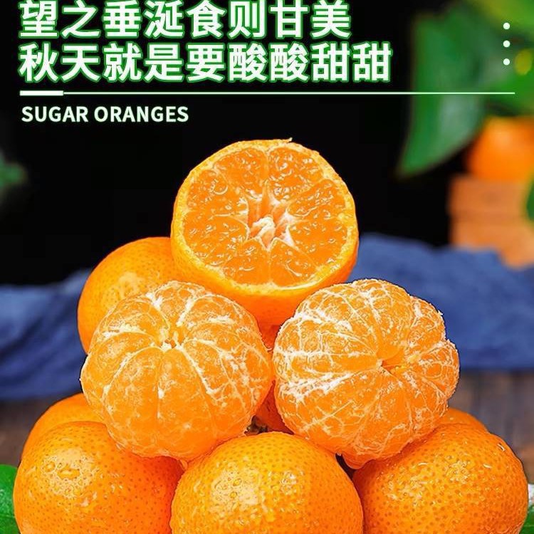 Authentic Guangxi Sugar Tangerine Fresh Fruit 5kg Seasonal Tangerine Golden Autumn Sugar Tangerine Tangerine Tribute Mandarin Whole Box Free Shipping
