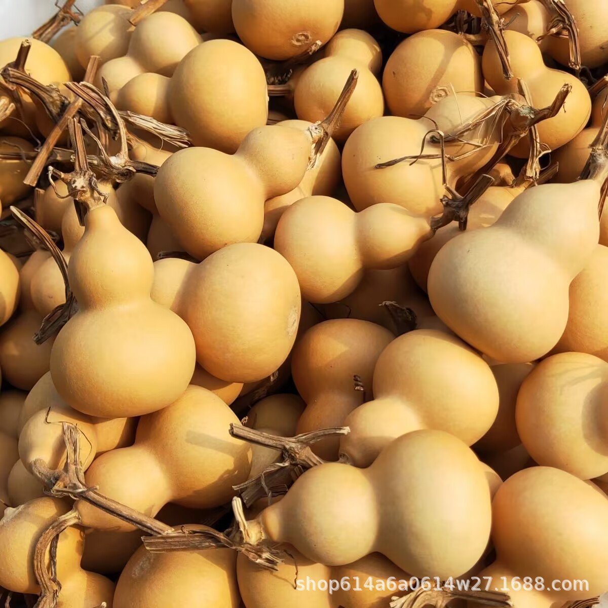 Natural gourd small American hand twist gourd Wen play play small gourd gourd crafts wholesale