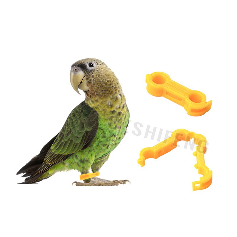 Parrot Corrector, Bird Splayed Leg Corrector, Bird External and Internal Leg Fixation Clip Rehabilitation Corrector