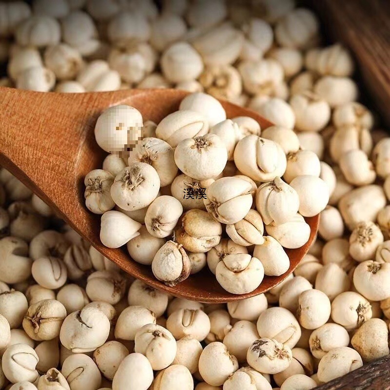 Premium Fritillary Mother Bulb Stewed with Snow Pear Wholesale Fritillary Powder Granules