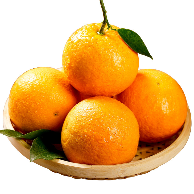 Authentic Zigui Navel Oranges, High Mountain Oranges, Fresh Picked and Shipped Directly from the Place of Origin, Seasonal Fruits Wholesale