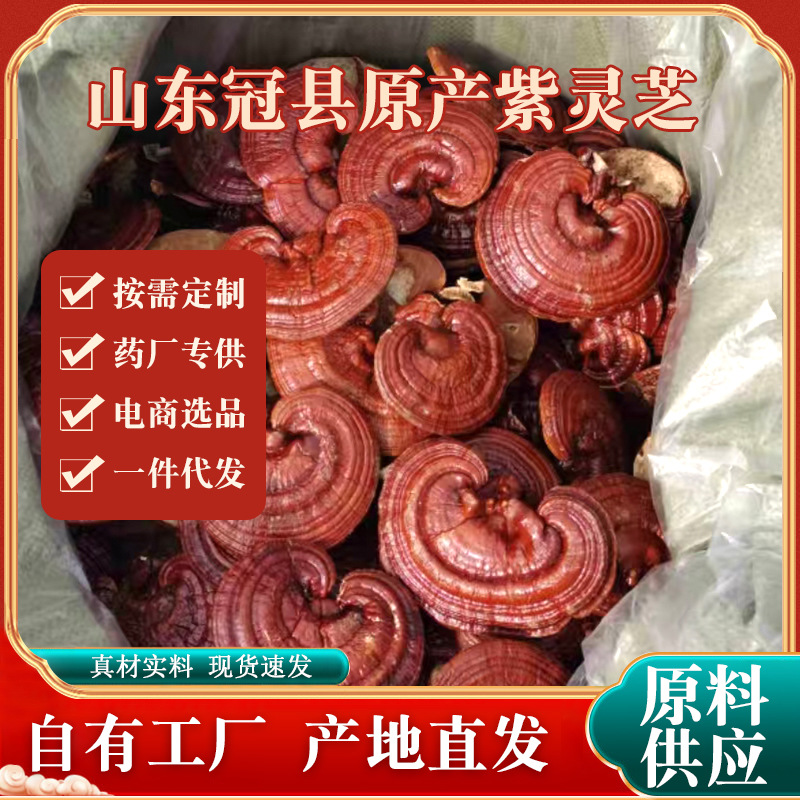 суперфиновая фиолетовая ганодерма целая горькая красная ганодерма экстра-финный порошок кусочки ганодермы подарочная коробка для супа на воде