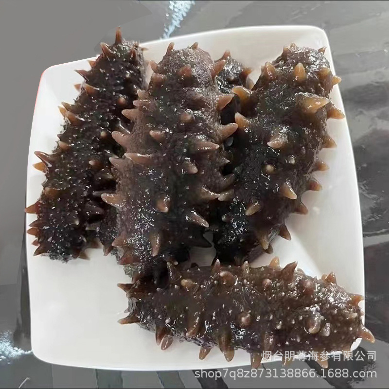 Mingzun 9A Grade Dalian Ready-To-Eat Sea Cucumber Dalian Fresh Sea Cucumber Factory Direct Wholesale Ready-To-Eat Sea Cucumber 500g