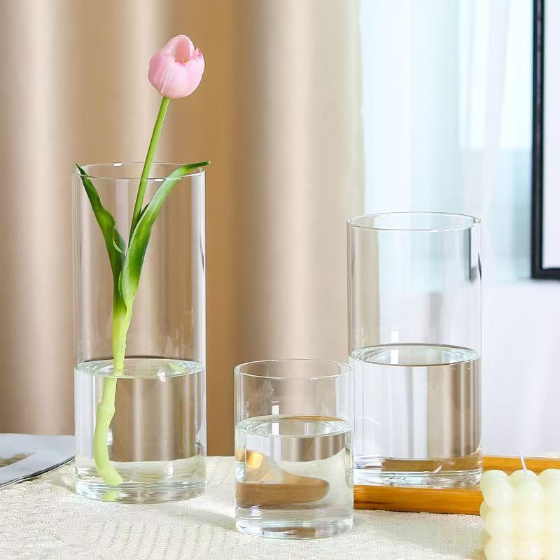 Small Glass Vase for Flowers, Transparent Straight Tube Dried Flowers, High Borosilicate Glass Vase, Flower Hydroponic Plant Vase Decoration