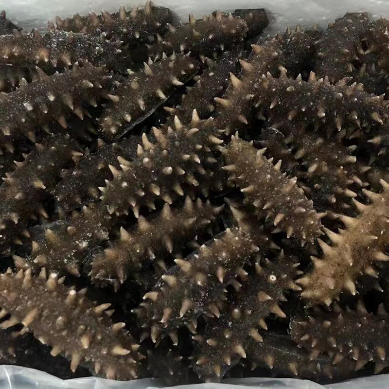 Mingzun 10A Grade Dalian Classy Ready-To-Eat Sea Cucumber 500g Sea Cucumber Ready-To-Eat Sea Cucumber Manufacturer Wholesale Shipped by Sf Express