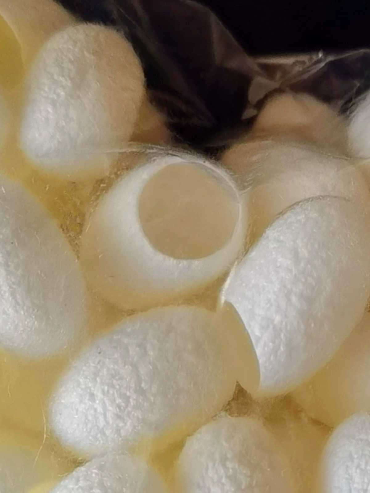 Silk raw material cocoon finger set to wash face and make tea to draw silk cocoon ball white handmade soap silk quilt