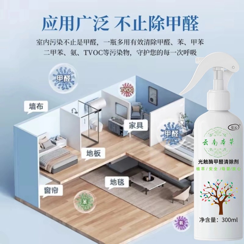 Photocatalyst Formaldehyde Remover New House Household Air Purification to Remove Formaldehyde and Deodorize