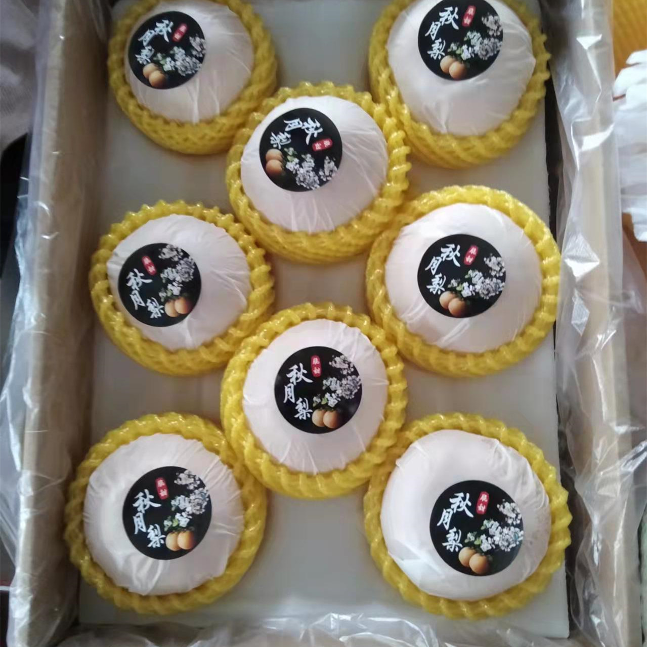 Shandong Laiyang Qiuyue Pear Gift Box 5/ 5kg Fresh Fruit Whole Box Rock Sugar Fengshui Pear Mid-Autumn Festival Gift Box