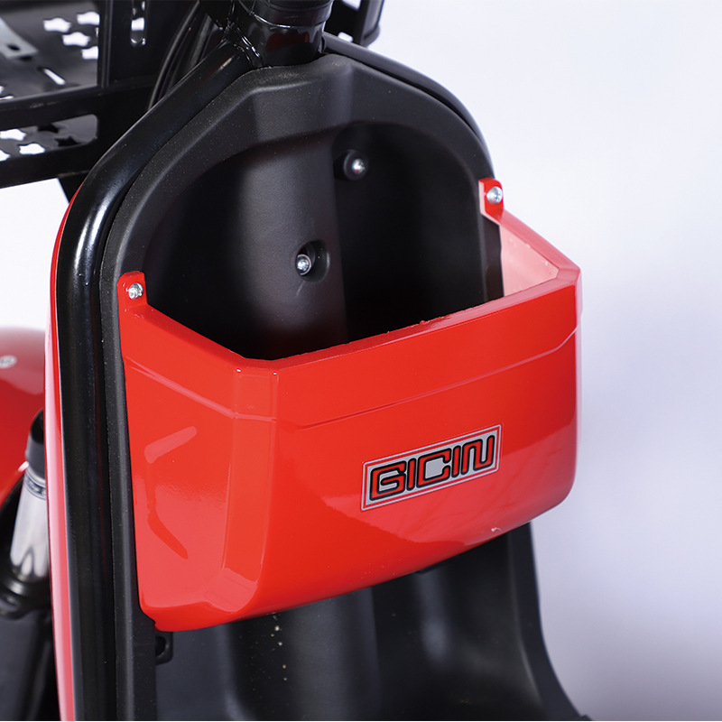 in stock supply Golden Eagle electric car adult electric bicycle lithium lead-acid tram walking two-wheeled battery car