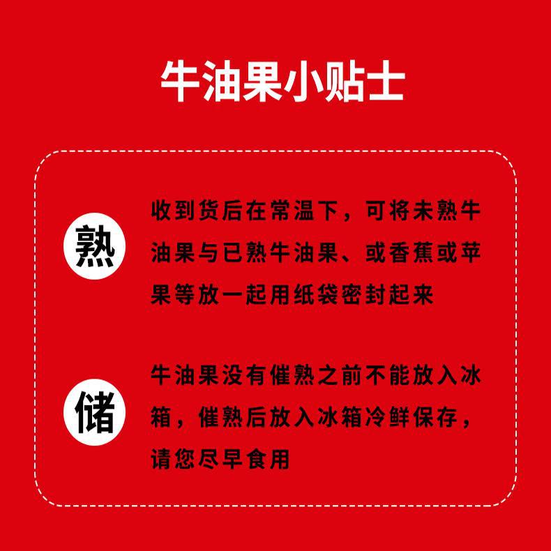 Peruvian Avocado 15 Medium-Sized Fresh Cream Avocado Fruit Pregnant Women Baby Food Supplement Light Food Seasonal Wholesale