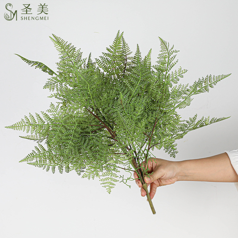 Simulation of fern grass large beam fern kidney fern leaf asparagus simulation of green plants adiantum plants decorative landscaping
