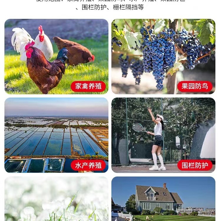 Chicken Net, Breeding Net, Poultry Net, Orchard Anti-bird Net, Protective Net, Anti-icing Net, Greenhouse Anti-bird Net, Vegetable Garden Net