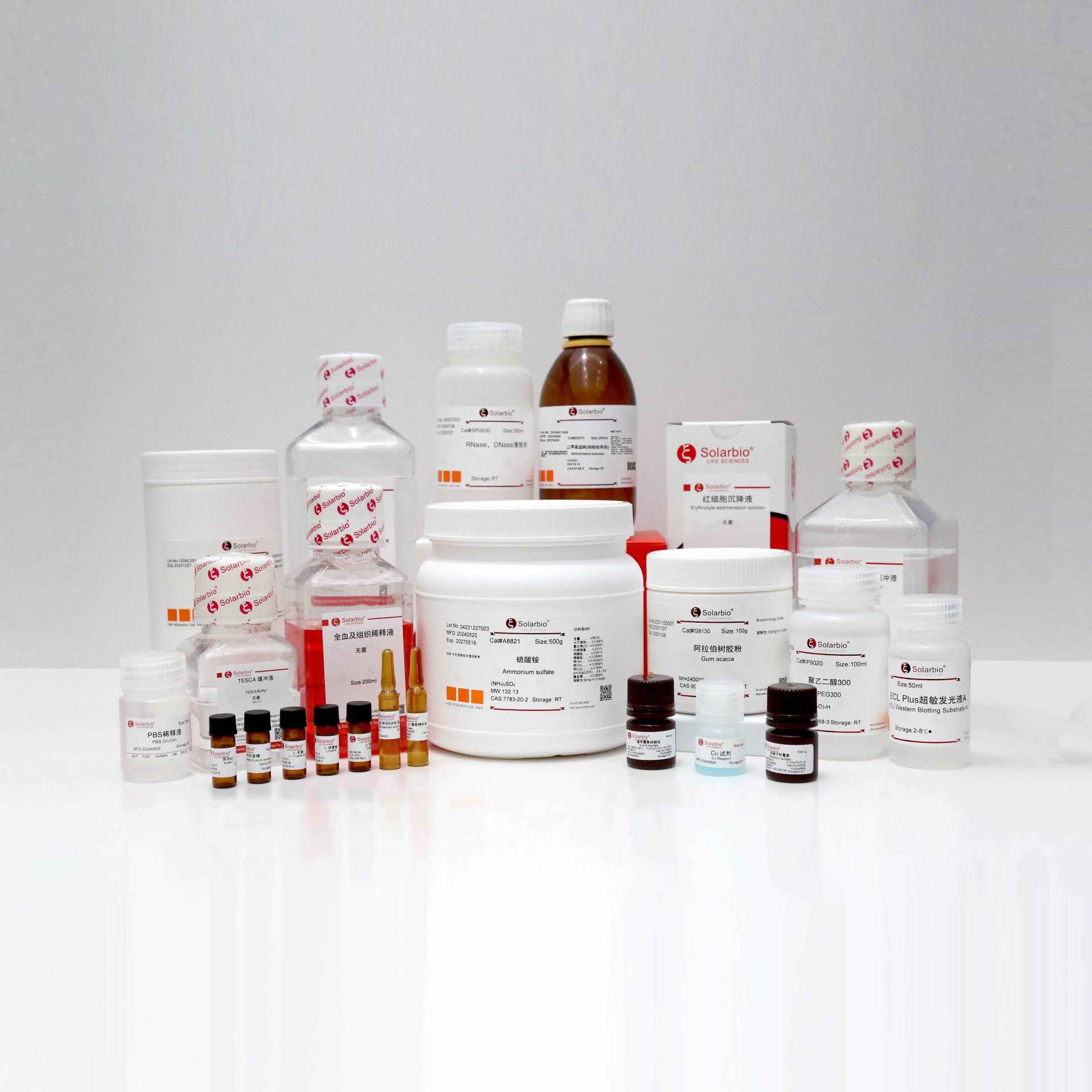 G7210 Page Gel Silver Stain Kit Egg White Silver Stain Kit Protein Fast Silver Stain Kit