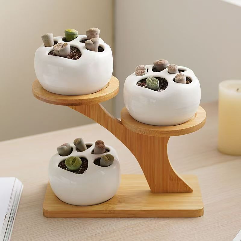 Многоярусный настольный цветочный стенд, для зеленых растений и суккулентов