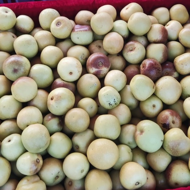 Shaanxi Dali Winter Jujube, 2/ 2kg Gift Box, Seasonal Crispy Jujube, Fresh Crispy Sweet Green Jujube, Red Jujube, Fruit for Pregnant Women