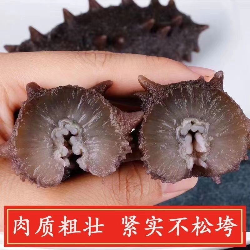 Factory Direct Sales Wholesale Wild Liaoshan Sea Cucumber 500g Dry Goods Non-Fresh Ready-To-Eat