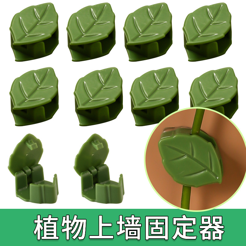 Green radish climbing vine plant holder climbing wall rattan man holder rattan man clip plant clip green radish climbing Holder