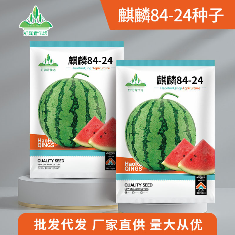 Kirin 8424 Watermelon Seeds, Early Maturing, Early Maturing, Lazy Man Rock Sugar, Kirin Jingxin Watermelon Seeds, Sweet and Crisp Fruit Seeds