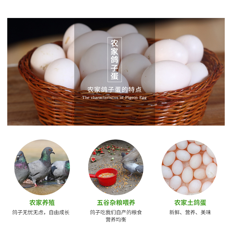 30 Fresh Pigeon Eggs, 630 Grams of Farm Grains, Free Range, Free Shipping, Free Shipping, Guaranteed Compensation for Damage