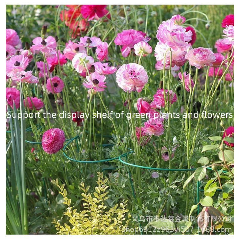 Wholesale European and American Cross-border Outdoor Garden Flower Pot Flower Support Bonsai Green Plant Support Bonsai Climbing Vine Support